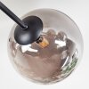 Chehalis Lampa sufitowa, Kula świetlna 20 cm Przydymiony, 6-punktowe