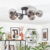 Chehalis Lampa sufitowa, Kula świetlna 20 cm Przydymiony, 6-punktowe