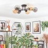 Chehalis lampa sufitowa, kula świetlna 20 cm bursztynowy, przydymiony, 6-punktowe
