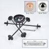 Chehalis Lampa sufitowa, Kula świetlna 62 cm W kolorze bursztynu, Przydymiony, 6-punktowe