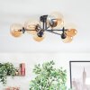 Chehalis lampa sufitowa, kula świetlna 18 cm bursztynowy, 6-punktowe