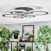Ronak Lampa sufitowa LED Czarny, 1-punktowy, Zdalne sterowanie
