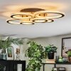 Ronak Lampa sufitowa LED Czarny, 1-punktowy, Zdalne sterowanie