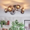 Chehalis lampa sufitowa, kula świetlna przezroczysty, przydymiony, 6-punktowe