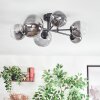 Chehalis lampa sufitowa, kula świetlna przezroczysty, przydymiony, 6-punktowe