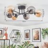 Chehalis Lampa sufitowa, Kula świetlna W kolorze bursztynu, Przydymiony, 6-punktowe