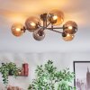 Chehalis Lampa sufitowa, Kula świetlna W kolorze bursztynu, Przydymiony, 6-punktowe