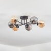 Chehalis Lampa sufitowa, Kula świetlna W kolorze bursztynu, Przydymiony, 6-punktowe