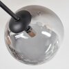 Chehalis lampa sufitowa, kula świetlna bursztynowy, przezroczysty, przydymiony, 6-punktowe