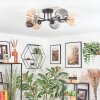 Chehalis Lampa sufitowa, Kula świetlna W kolorze bursztynu, Przezroczysty, Przydymiony, 6-punktowe