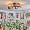 Chehalis Lampa sufitowa, Kula świetlna W kolorze bursztynu, Przezroczysty, Przydymiony, 6-punktowe