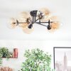 Chehalis Lampa sufitowa, Kula świetlna 60 cm W kolorze bursztynu, Przezroczysty, 6-punktowe
