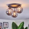 Chehalis Lampa sufitowa, Kula świetlna 34 cm Przydymiony, 3-punktowe
