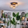 Chehalis Lampa sufitowa, Kula świetlna 34 cm W kolorze bursztynu, Przezroczysty, 3-punktowe