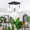 Chehalis Lampa sufitowa, Kula świetlna Biały, 5-punktowe