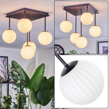 Chehalis lampa sufitowa, kula świetlna biały, 5-punktowe