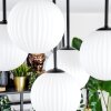 Chehalis Lampa sufitowa, Kula świetlna Biały, 5-punktowe