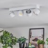Narel Lampa sufitowa, Spot sufitowy LED Biały, 4-punktowe