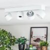 Narel Lampa sufitowa, Spot sufitowy LED Biały, 4-punktowe