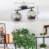 Ripoll lampa sufitowa, kula świetlna chrom, przydymiony, 2-punktowe