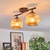 Gastor lampa sufitowa, kula świetlna bursztynowy, 2-punktowe