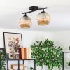 Gastor Lampa sufitowa, Kula świetlna W kolorze bursztynu, 2-punktowe