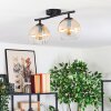 Koyoto lampa sufitowa, kula świetlna bursztynowy, przezroczysty, 2-punktowe