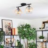 Koyoto lampa sufitowa, kula świetlna bursztynowy, przezroczysty, 2-punktowe