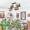 Koyoto lampa sufitowa, kula świetlna złoty, czarny, 8-punktowe