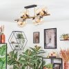 Koyoto lampa sufitowa, kula świetlna złoty, czarny, 8-punktowe