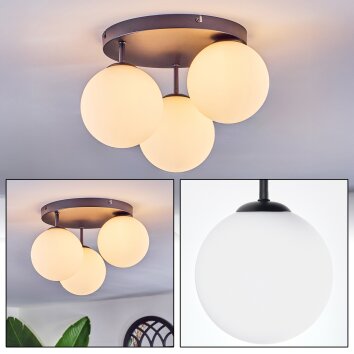 Chehalis Lampa sufitowa, Kula świetlna Biały, 3-punktowe