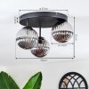Chehalis Lampa sufitowa, Kula świetlna Przydymiony, 3-punktowe
