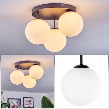 Chehalis lampa sufitowa, kula świetlna biały, 3-punktowe