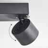 Narel Lampa sufitowa, Spot sufitowy LED Czarny, 3-punktowe