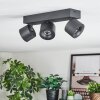 Narel Lampa sufitowa, Spot sufitowy LED Czarny, 3-punktowe