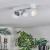 Narel Lampa sufitowa, Spot sufitowy LED Biały, 3-punktowe