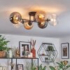 Chehalis Lampa sufitowa, Kula świetlna 62 cm W kolorze bursztynu, Przezroczysty, Przydymiony, 6-punktowe