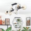 Ripoll Lampa sufitowa, Kula świetlna W kolorze bursztynu, Przezroczysty, Przydymiony, 10-punktowe