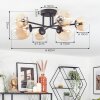 Chehalis Lampa sufitowa, Kula świetlna 62 cm W kolorze bursztynu, Przezroczysty, 6-punktowe