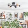 Chehalis lampa sufitowa, kula świetlna 51 cm bursztynowy, przezroczysty, przydymiony, 6-punktowe