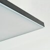 Barullu Lampa sufitowa, Panel LED Czarny, Biały, 1-punktowy
