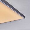 Barullu Lampa sufitowa, Panel LED Czarny, Biały, 1-punktowy
