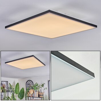 Barullu Lampa sufitowa, Panel LED Czarny, Biały, 1-punktowy