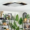 Barullu Lampa sufitowa, Panel LED Czarny, Biały, 1-punktowy