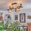Koyoto lampa sufitowa, kula świetlna złoty, czarny, 8-punktowe