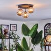 Chehalis lampa sufitowa, kula świetlna 30.5 cm bursztynowy, 3-punktowe