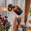Fallhagen Lampa ścienna, Spot ścienny Czarny, 1-punktowy