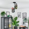 Gastor lampa sufitowa, kula świetlna 32 cm niebeieski, chrom, zielony, przezroczysty, miedziany, przydymiony, 4-punktowe