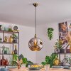 Ripoll Lampa wisząca, Kula świetlna, Lampa wisząca Złoty, 1-punktowy