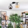 Ripoll lampa sufitowa, kula świetlna bursztynowy, przydymiony, 2-punktowe
